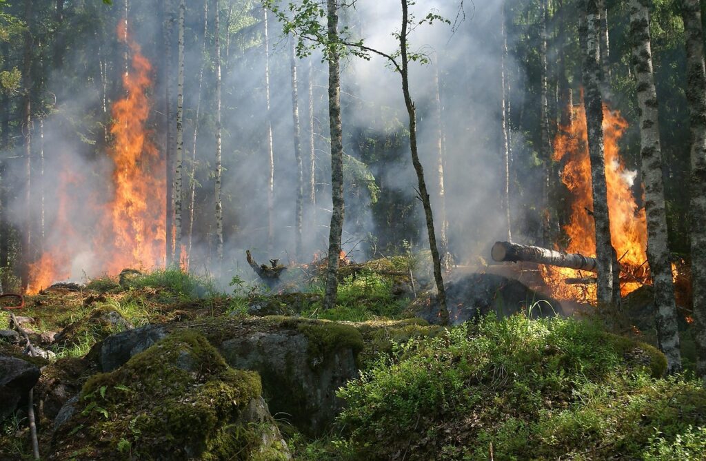 incendio-segorbe