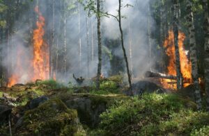 incendio-segorbe