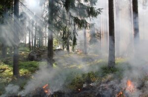 incendio-sierra-calderona